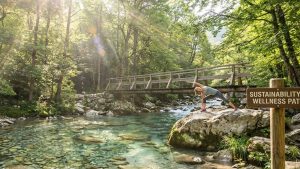 A clean natural environment featuring trees, flowing water, and sunlight, symbolizing the connection between environmental sustainability and human health
